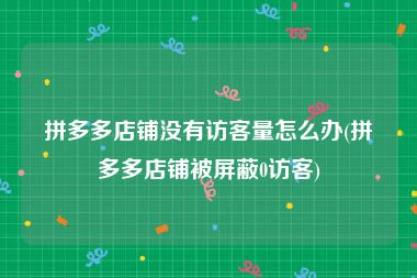 拼多多店铺没有访客量怎么办(拼多多店铺被屏蔽0访客)