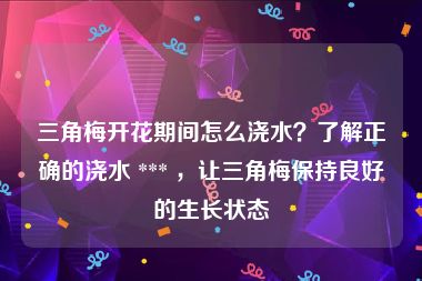 三角梅开花期间怎么浇水？了解正确的浇水 *** ，让三角梅保持良好的生长状态