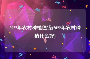 2022年农村种植值钱(2022年农村种植什么好)