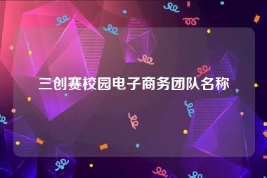 三创赛校园电子商务团队名称