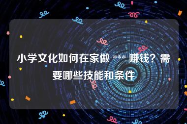小学文化如何在家做 *** 赚钱？需要哪些技能和条件