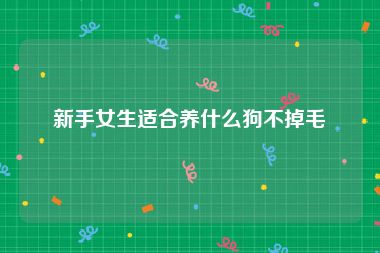 新手女生适合养什么狗不掉毛