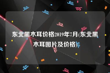 东北黑木耳价格2019年7月(东北黑木耳图片及价格)
